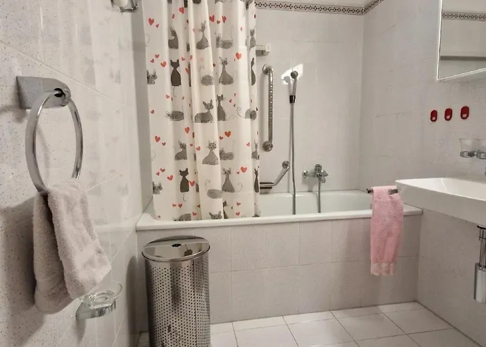 Chesa Polaschin C8 By Interhome Apartment Sils Maria