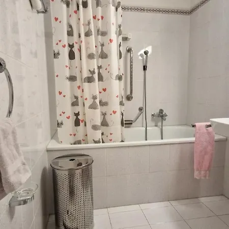 Chesa Polaschin C8 By Interhome Апартаменты Зильс-Мария